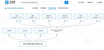 王欣旗下公司拓展網絡科技領域，新增技術開發對外投資